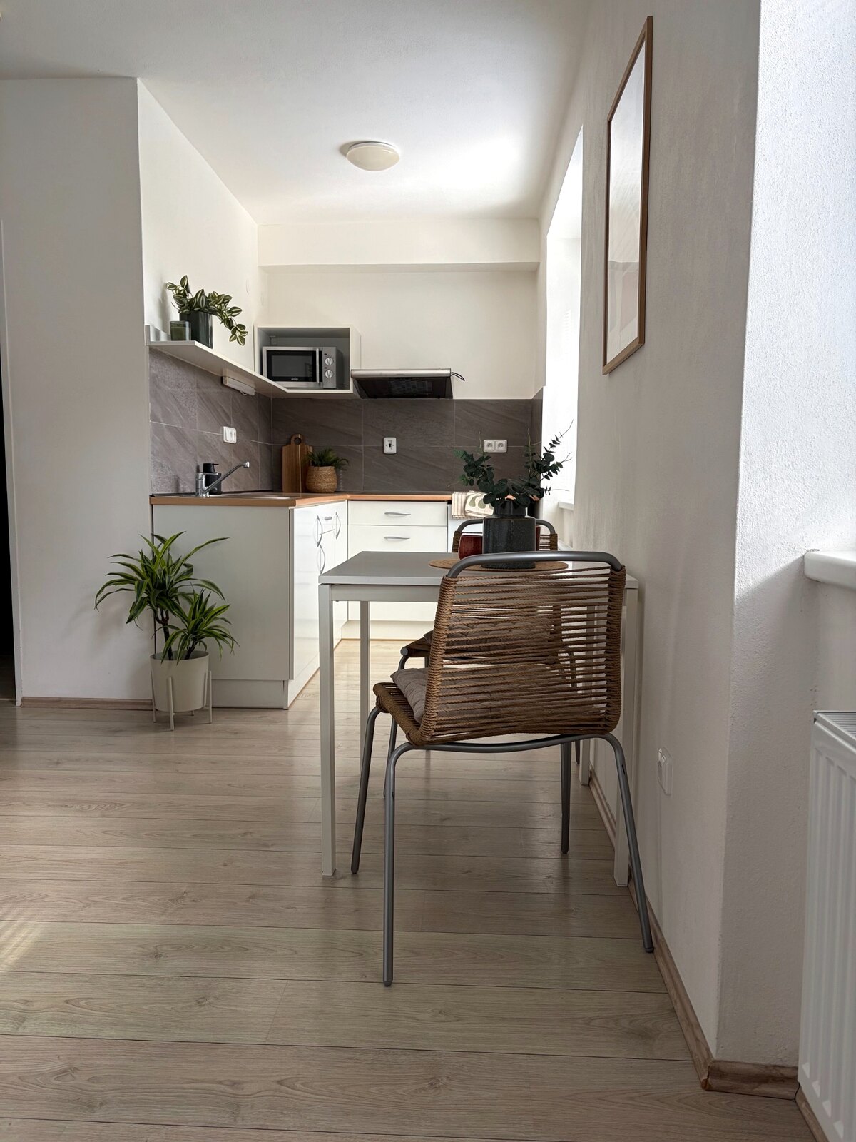 Vstupní pohled do apartmánu 1+kk s kuchyní a jídelním koutem