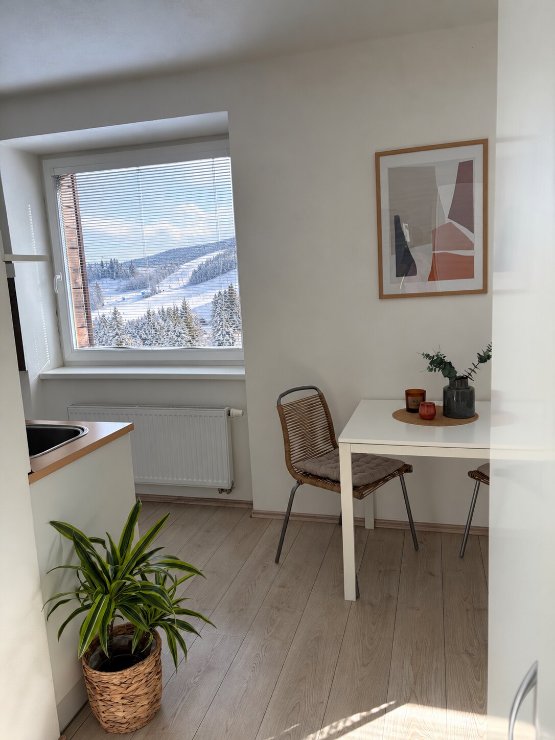 Apartmán 1+kk s pohledem na zasněžený svah